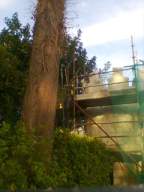 castlepark gate - 14835.jpg